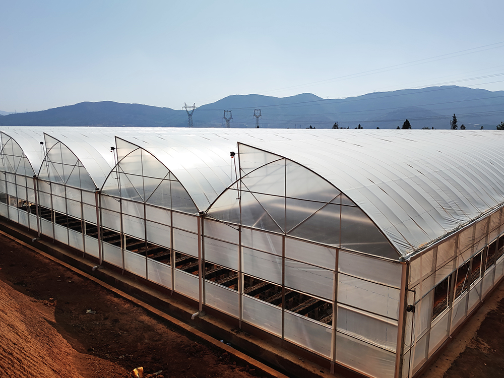 ���ҹ���